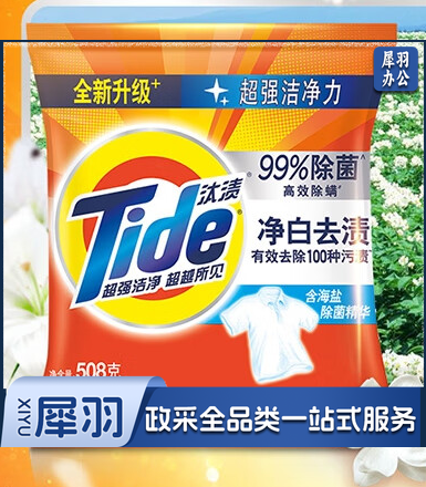 汰渍（Tide）净白去渍洗衣粉508g