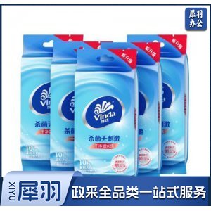 维达 Vinda VW1009A 无香无刺激湿巾 洁肤卫生湿巾 10片独立装 1包