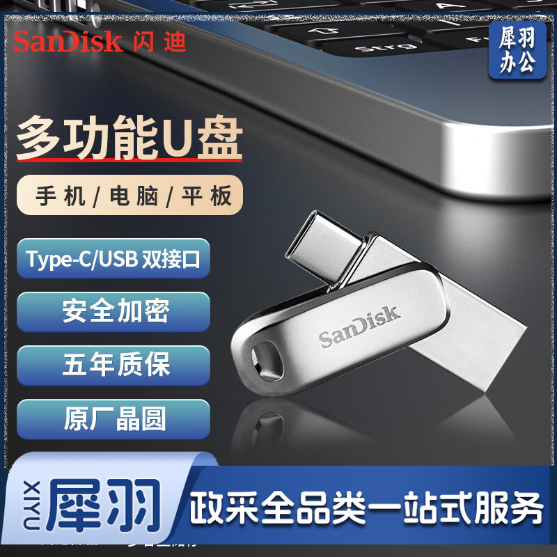 闪迪（SanDisk） 256GB Type-c 手机U盘 DDC4 安全加密 usb双接口优盘 手机平板笔记本电脑通用