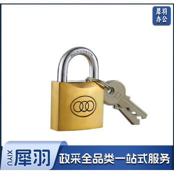 三环 厚型铜挂锁锁头+3把钥匙