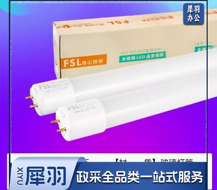 佛山FSL T8 LED灯管 220V30W 65K 1.2米 双端标准