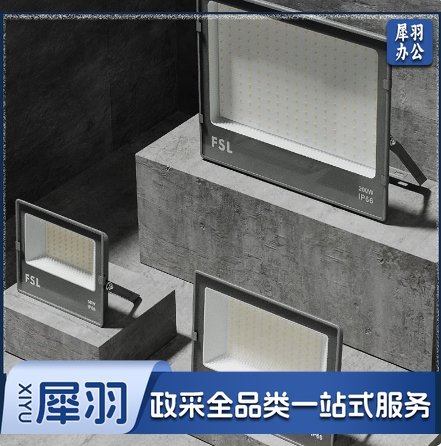 佛山FSL 投光灯 220V50W865K