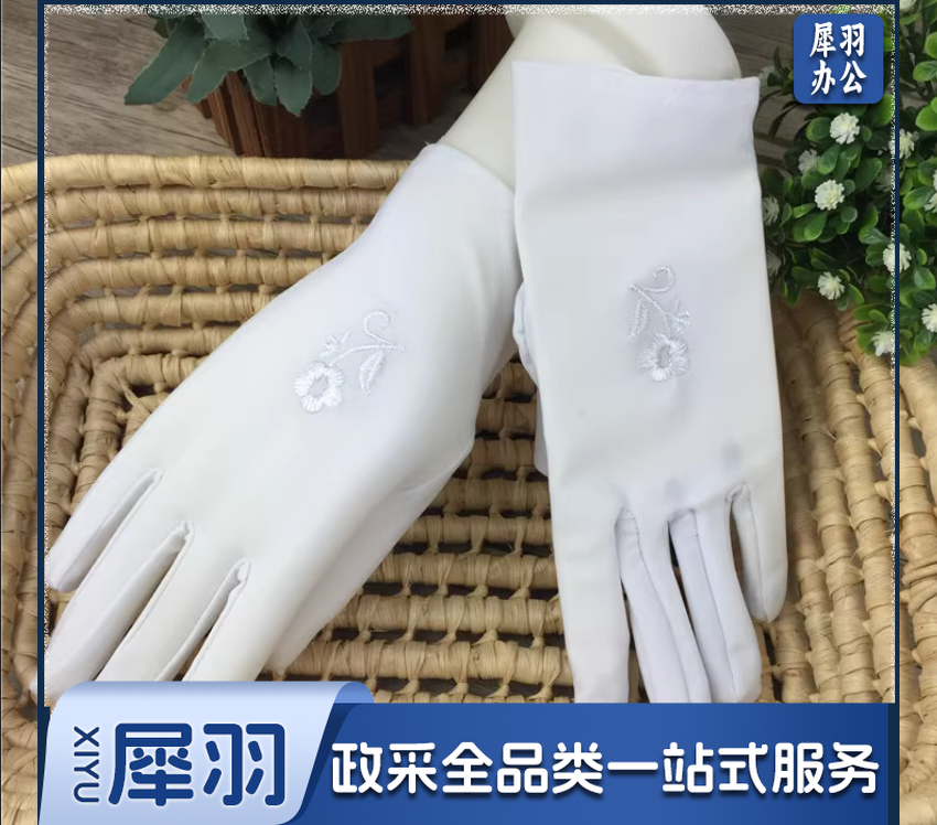 女士弹力刺绣白手套 小号