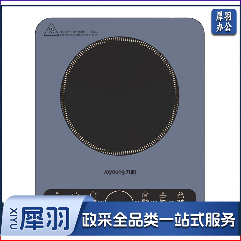 九阳（Joyoung）电磁炉电陶炉电磁灶电池炉2200W家用带锅一键爆炒定时多功能炫彩大面板C22S-N410-A1