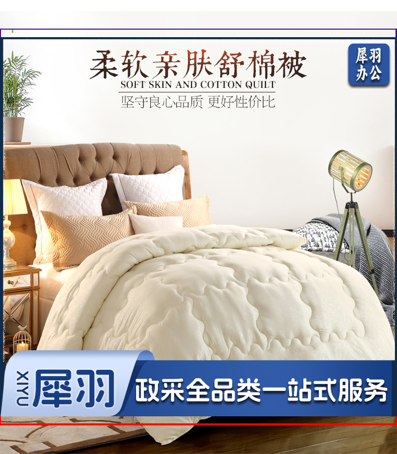 被芯家纺 春秋保暖被子 四季棉被 五斤B