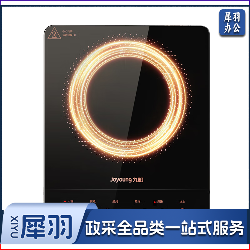 九阳（Joyoung）电磁炉电陶炉2200W大功率家用触控按键耐用面板十档火力纤薄定时功能电磁灶火锅炉C21S-C2130