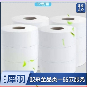 WP2240-01 卷纸 商用大盘纸卫生纸厕纸 2层*240米*12卷（整箱销售）QJ.441
