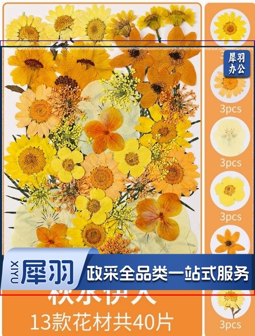 亚克力压花相框手工diy(倾橙绚舞(干花包18片))制作材料包干花植物标本框透明装饰绘画框