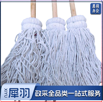 清扫套装(扫帚，簸箕，墩布)