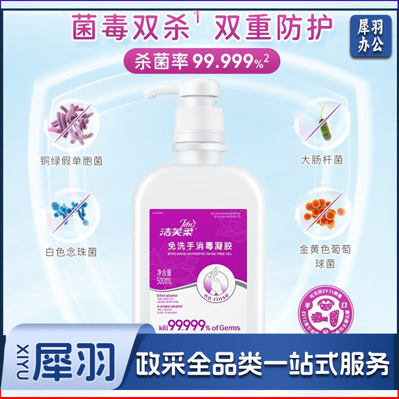 免洗洗手液（洁芙柔免洗洗手液500ml II）