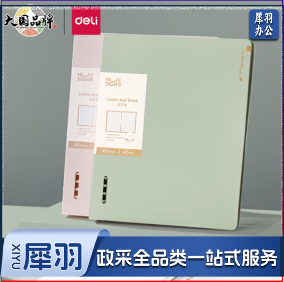 得力(deli)NS316-A A5/40张活页本 可拆卸夹具 抹苔绿