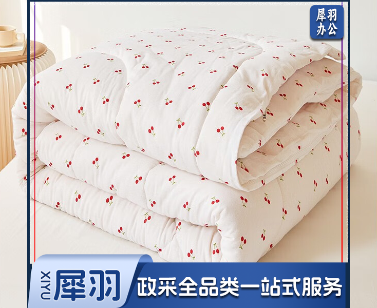 棉被3斤+被罩（套）
