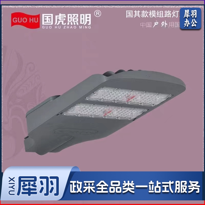 LED100W3000路灯