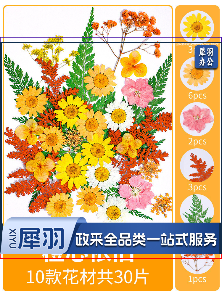 亚克力压花相框手工diy(橙心依旧(干花包30片)))制作材料包干花植物标本框透明装饰绘画框