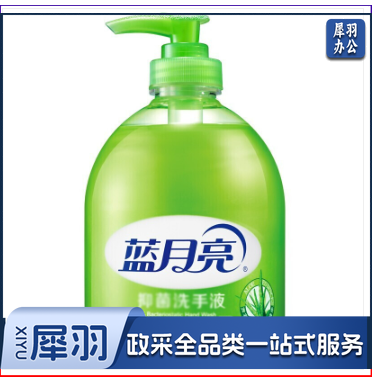 蓝月亮 500ml芦荟抑菌洗手液