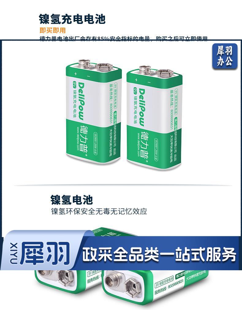 德力普 Delipow 9V充电电池 九伏9号6f22方形电池 适用话筒 麦克风 电吉他 万用表等 2.jpg