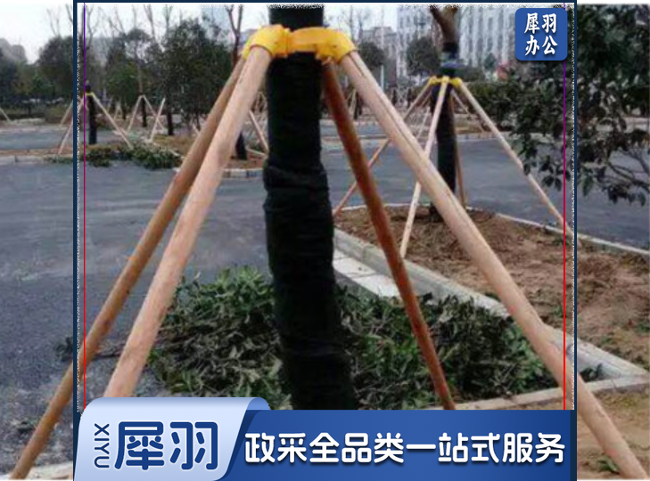 树木支撑支架固定器苗木园林绿化去皮松杨木棍棍杆