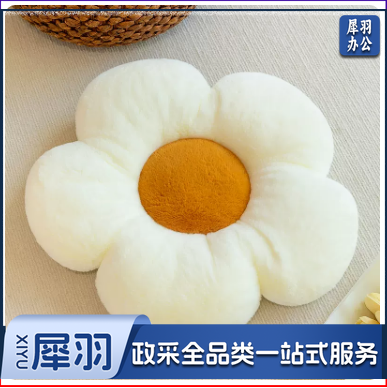 ins风太阳花抱枕