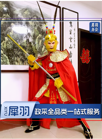 孙悟空演出服装全套成人衣服西游记齐天大圣美猴王舞台表演服道具