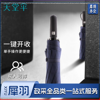 天堂 晴雨伞 10骨加固一键开收 易甩干简约全自动雨伞 藏青