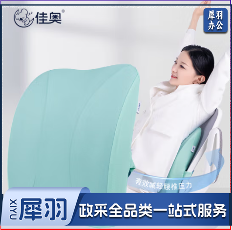 佳奥(JAGO) 薄荷蓝 腰靠办公室靠垫竹炭记忆棉汽车办公室靠背垫人体工学靠枕腰枕(JAGO) 薄荷蓝 腰靠办公室靠垫竹炭记忆棉汽车办公室靠背垫人体工学靠枕腰枕
