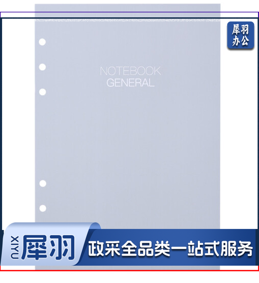 晨光(M&G)APY9JT74   25K/6孔横线活页本子替芯  100页/包