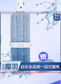 免手洗平板拖把 木地板瓷砖干湿两用 共2块原装拖布