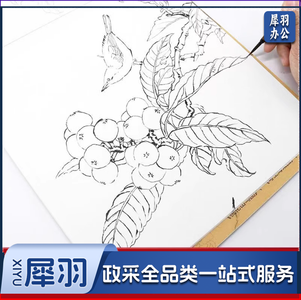 工笔画底稿白描花鸟 综合款底稿32张   货号：JC