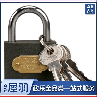 三环 铁挂锁 38mm(配6把钥匙)