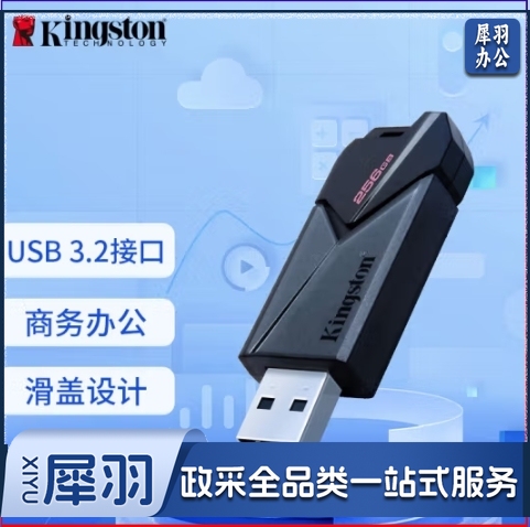 金士顿（Kingston）256GB USB3.2 Gen1 U盘 DTXON 大容量U盘 滑盖设计 时尚便携 学习办公投标电脑通用 DTXON/256GB