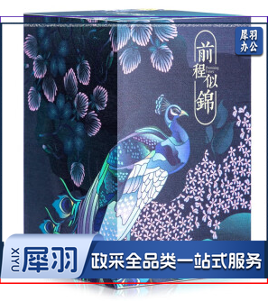 得力(deli) 颐和园系列便签纸古风创意便签本锦绣前程中国风纸 前程似锦便签砖-860张 【21717】