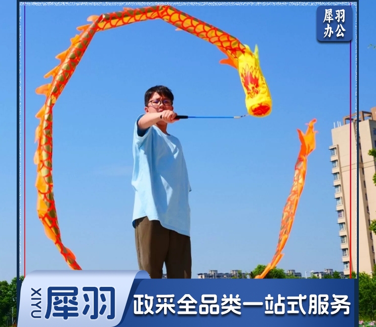 舞龙彩带健身甩甩龙身新款道具儿童广场舞带手耍龙空竹龙表演运动