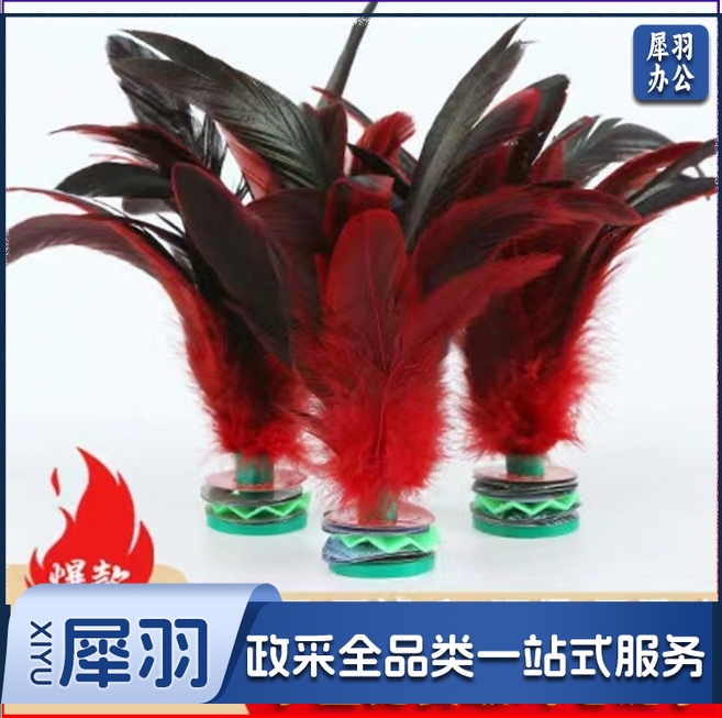 健身毽子     10个起拍