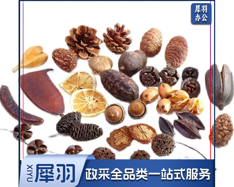 干花干果组合套装幼儿园DIY手工材料包松果橡果干花摆件拍照道具混装100个