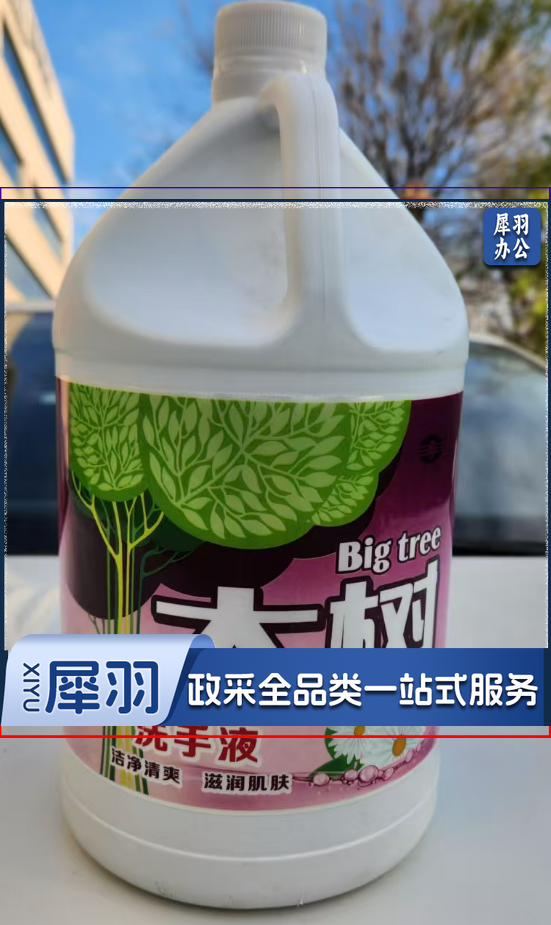 大树洗手液 商用