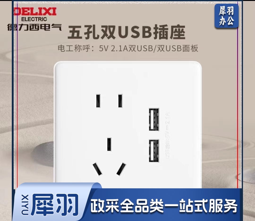 德力西双USB五孔插座