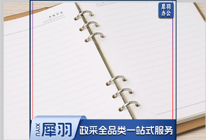 A5活页纸 可替换内芯 学习笔记本活页内芯