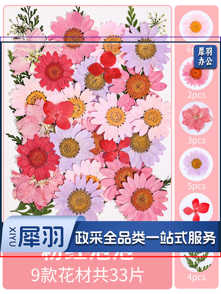 亚克力压花相框手工diy(粉红泡泡(干花包33片))制作材料包干花植物标本框透明装饰绘画框
