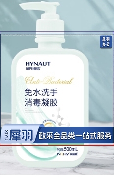 海氏海诺免洗洗手凝胶  500ml/瓶