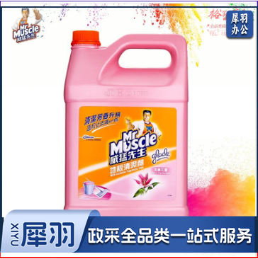 威猛先生（Mr Muscle）地板清洁剂 3.785L 花香 浓缩配方 瓷砖 木地板 除菌除垢