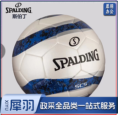 斯伯丁5号比赛足球