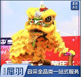 舞狮道具整套舞狮子套装