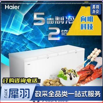 海尔（Haier）冰柜商用大容量829升 BC/BD-829HEZ冷藏箱柜