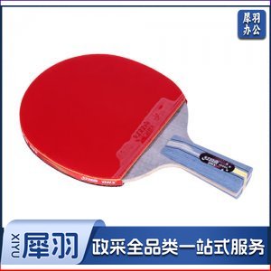 红双喜 .DHS R4006 四星碳素直拍乒乓球拍双面反胶快速进攻附拍套