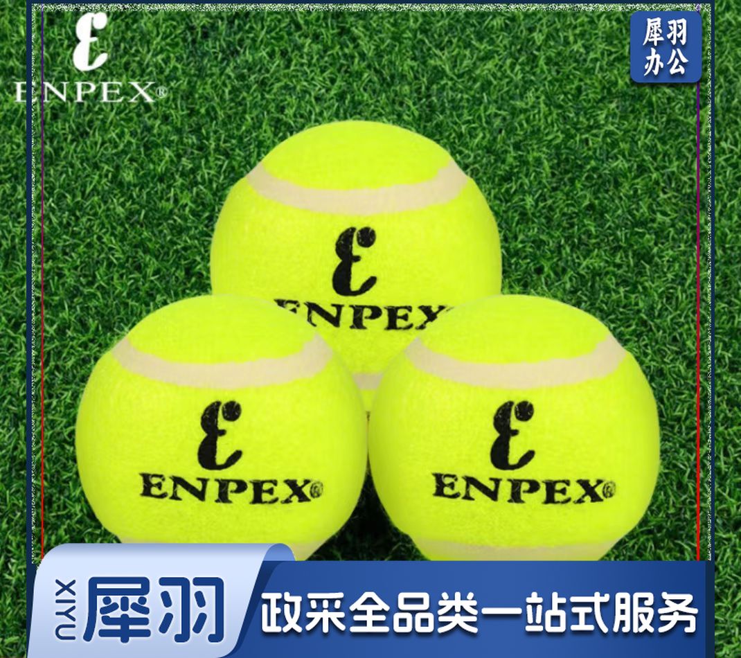 ENPEX乐士三只装网球