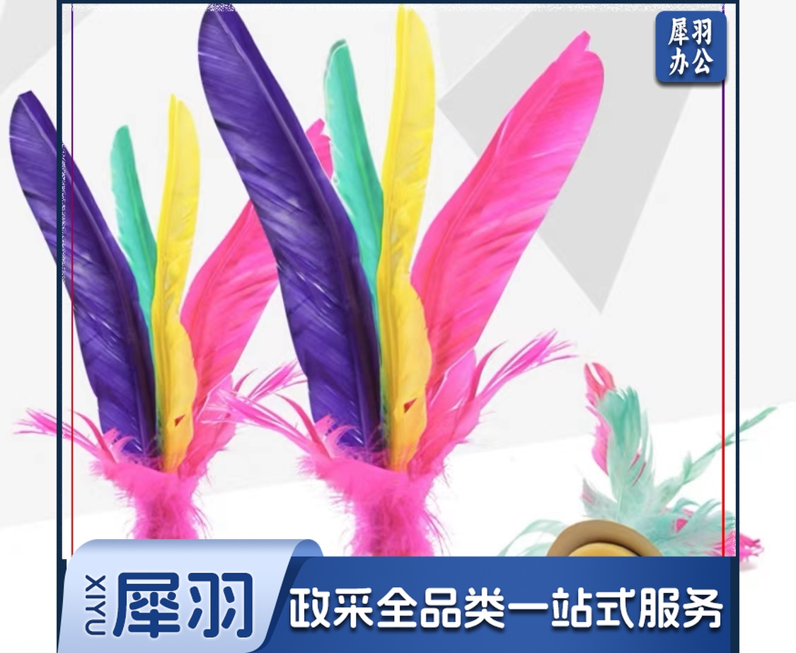 健身运动毽子 毽球