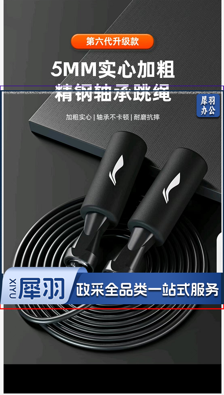 李宁跳绳成人儿童中学生专业中考试有绳跳神健身体育器材肥竞速