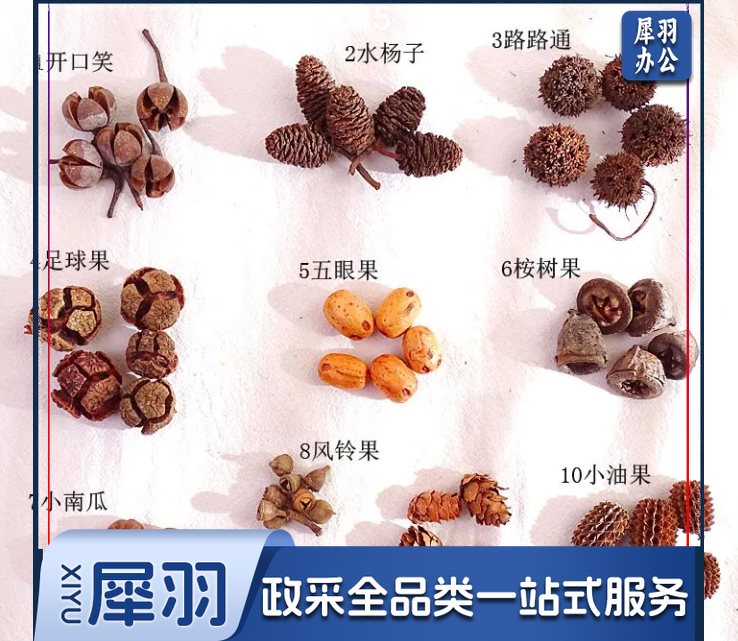 干花干果组合套装幼儿园DIY手工材料包松果橡果干花摆件拍照道具