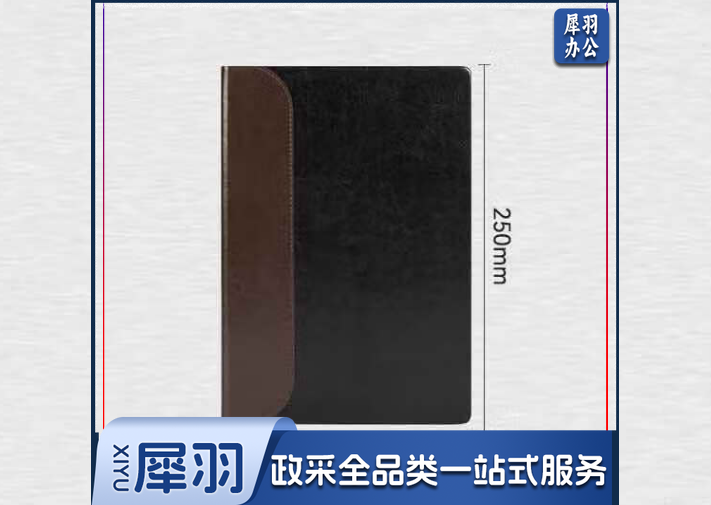 得力(deli)BP135皮面记事本 B5/120张笔记本(黑色)(本)