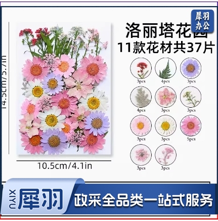干花diy材料压花书签押花画满天星玫瑰真树叶植物标本滴胶
